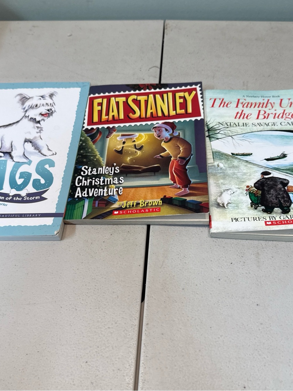 Childrens Book Lot Easy Chapter Books rags, flat stanley, the family